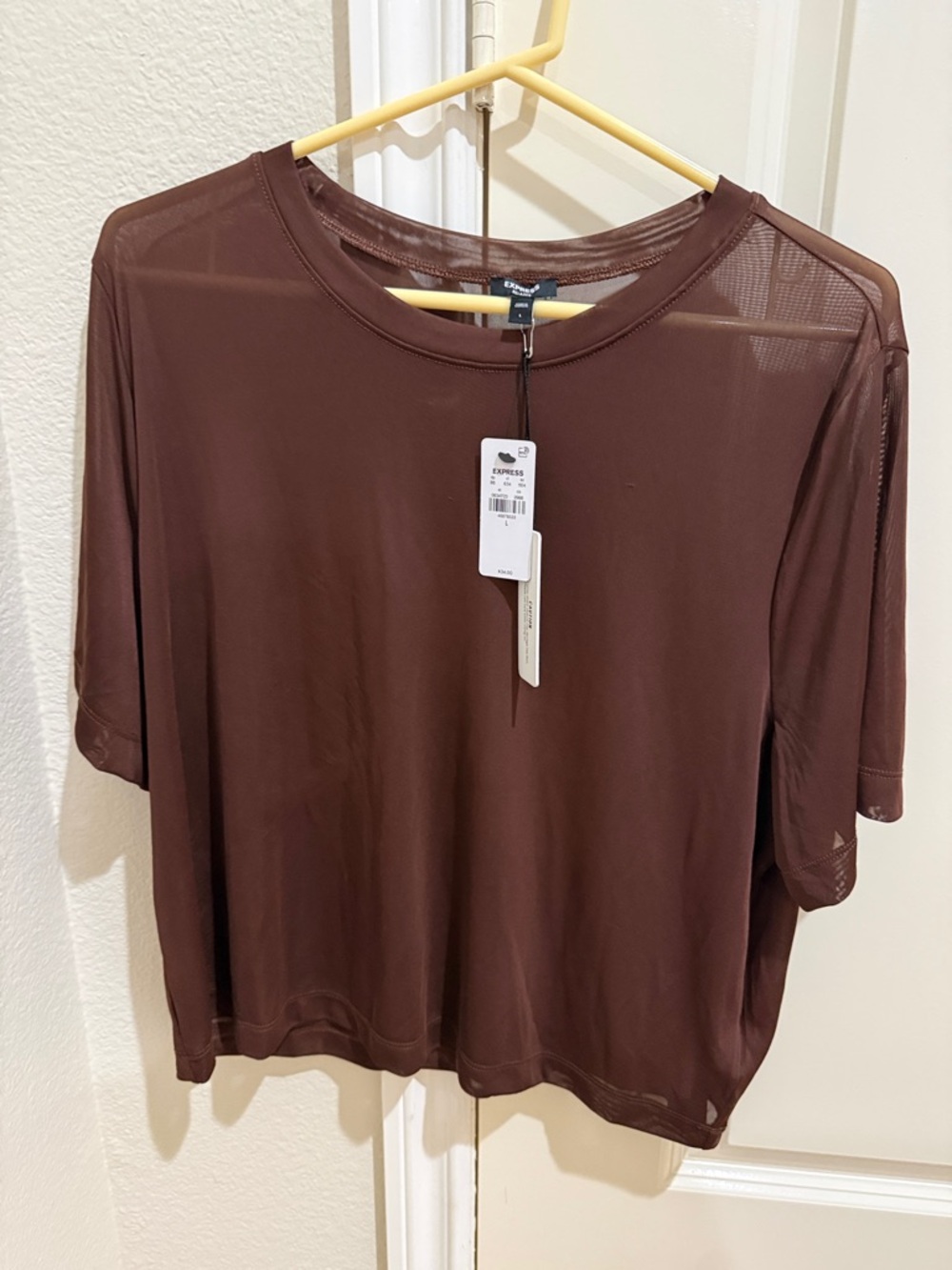 Express NWT Brown Short-Sleeve Sheer pullover Top Large